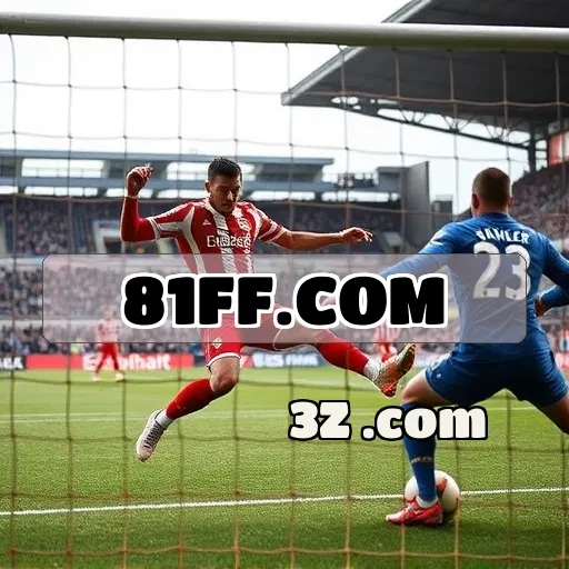 81ff.com Bingo Online