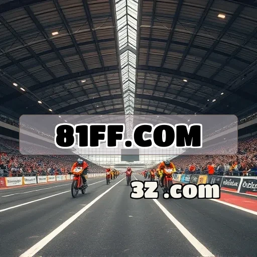 81ff.com Jogos de Cartas